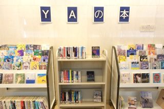 展示の写真