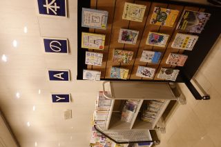 展示の写真