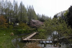 佐竹公園