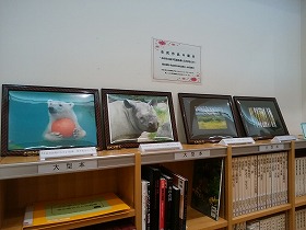 市民作品展示1