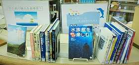 図書館実習1