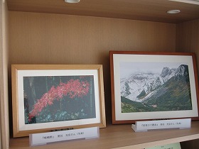 紅葉の写真1枚と雪山の写真1枚